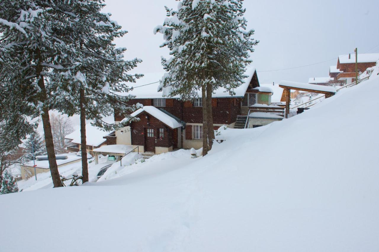 Chalet 4 Personnes Avec Sauna Leysin Buitenkant foto
