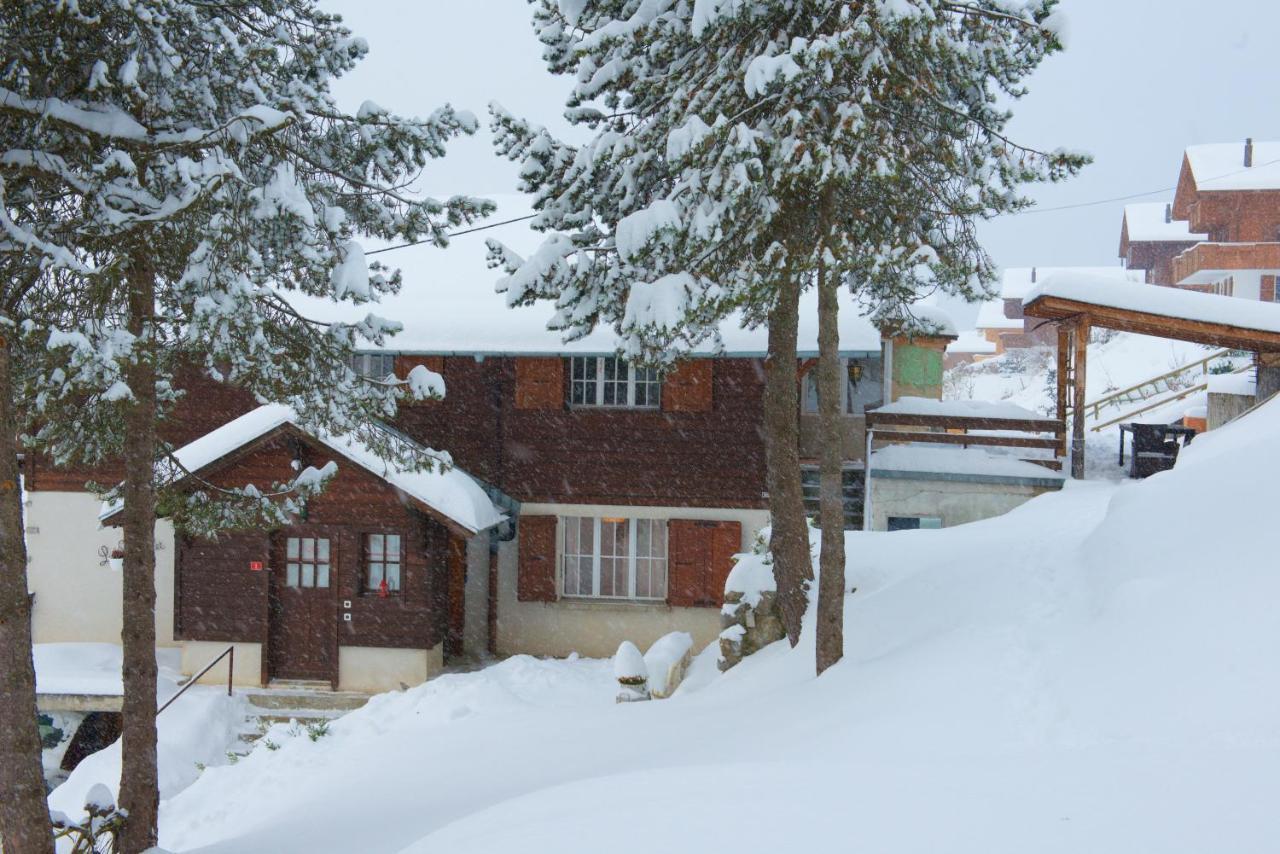 Chalet 4 Personnes Avec Sauna Leysin Buitenkant foto